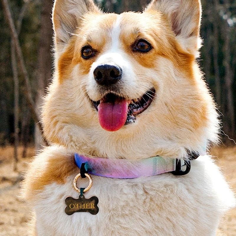 Diy Pet Dog 3-link Bone Label Glues Mold Silicone Epoxy Resin Ornament Mold DIY Keychain Pendant Jewelry for Gift Craft