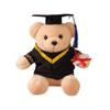 Kindergarten Graduation Gift High School Primary School Bear Doll Plush Toy Commemorative Gift Dr. Bear
