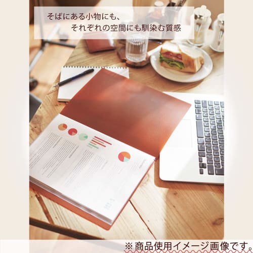KOKUYO File Clear Book Glassel Fixed Type A4 60 Sheets Off-White La-GL60W