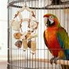 Parrot Chew Toys Wooden Fruit String Pinecone Corn Cob Cork Bird Cage Accessories Tooth-grinding Bird Toy For Small Medium Birds