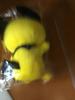 [USED]Pokemon plush Pichu New, tagged, (Pocket Monsters) extra-large toy