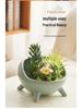 Nordic Ceramic Flower Pot: Succulent & Cactus Desktop Bonsai Ornament