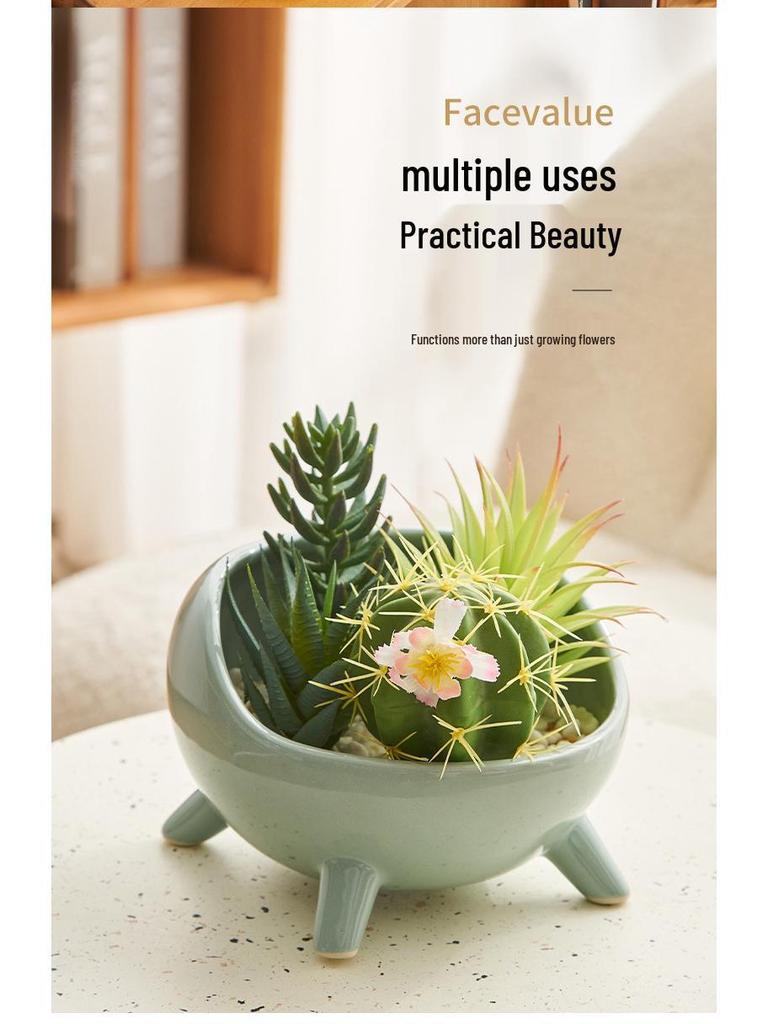 Nordic Ceramic Flower Pot: Succulent & Cactus Desktop Bonsai Ornament