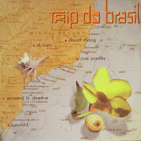 

12inch Record VARIOUS - Trip Do Brasil - The Brasilian Flav TDBV111 RYTHMiX 1997 France Dance & Electronica Used