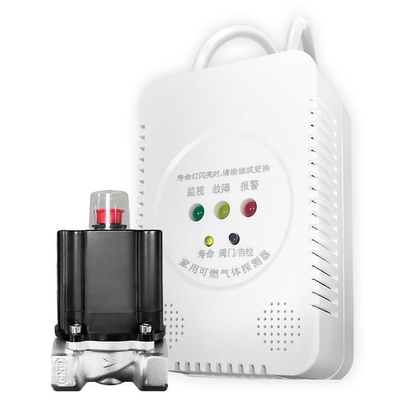 Gangqi JT-TP010W Wireless Gas Alarm with Auto Shut-off Valve
