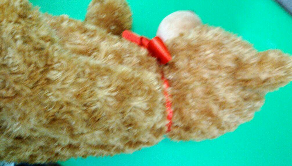 [USED] Extra Large Teddy Bear Plush Toy