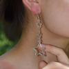 European & American Cross-Border Fashion Star Earrings: Stylish Hollow Five-pointed Design for Women - Trendy Fresh Accessory