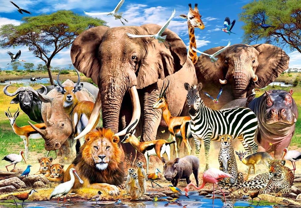 Puzzle 260 pieces B-27545-1 Savanna Animals