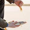 3 PZ/6 PZ Esca da Pesca Morbida Realistica 3D a Forma di Granchio - Antialga per Acqua Salata/Dolce per Persico Spigola, Cernia, Sgombro - Azione di Nuoto Lento e Laterale