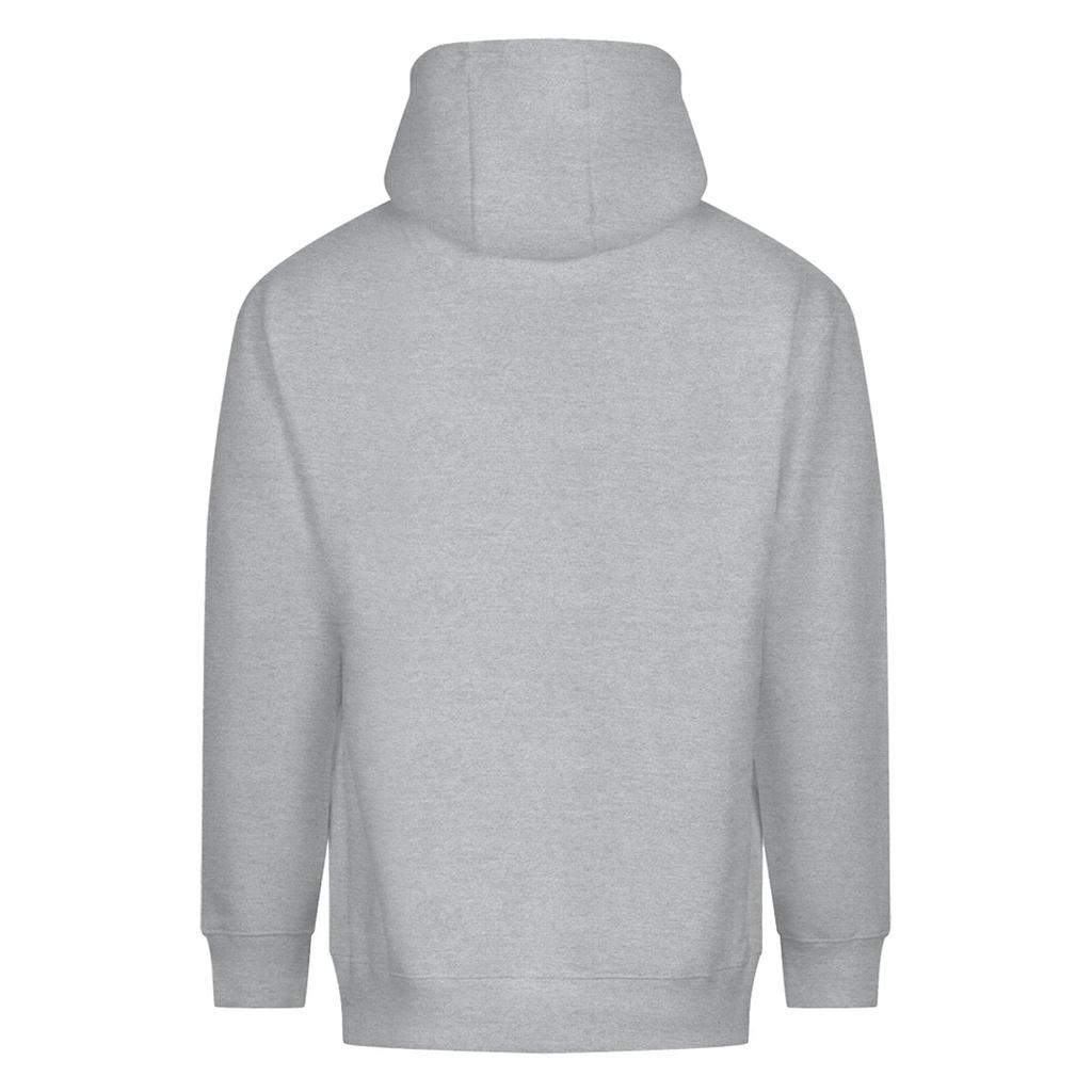Awdis Unisex Adult Vision Heavyweight Hoodie