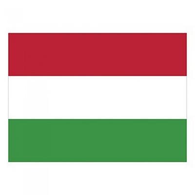 Printwear Polyester Hungary Flag