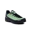 Alp Trainer 2 Gtx M GORE-TEX Trekking Boots