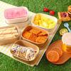 Disposable Outdoor Picnic Box
