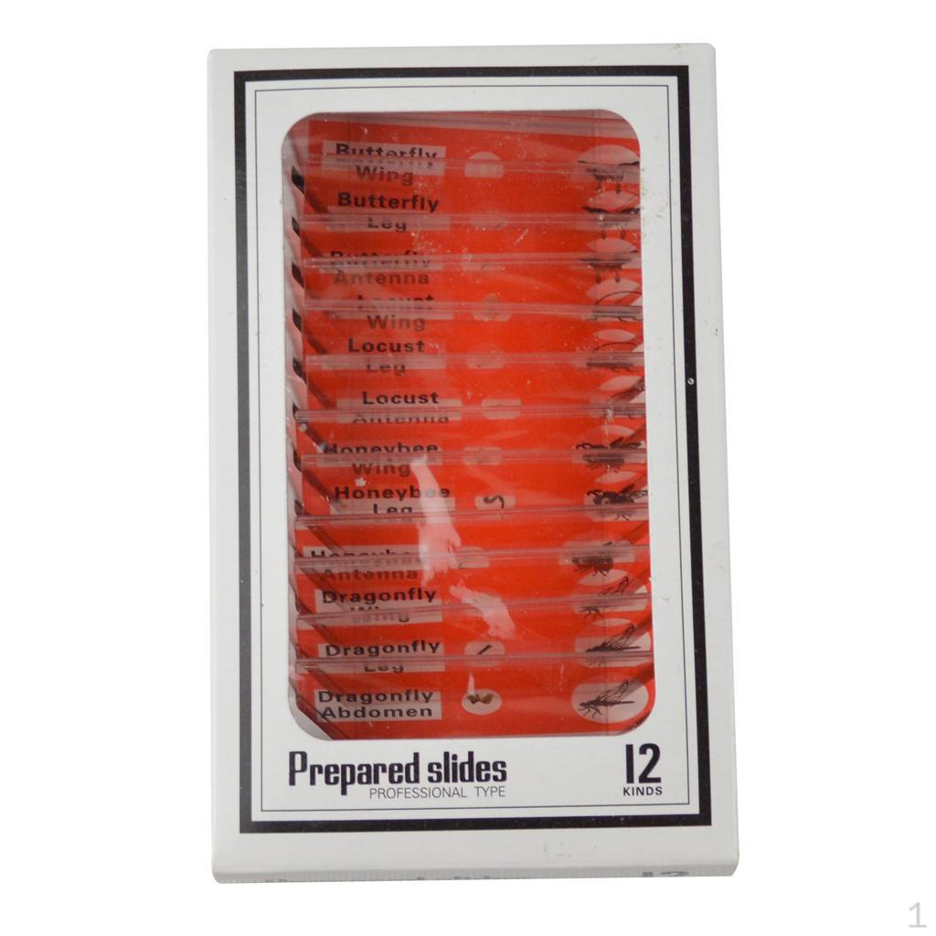 

Пластиковые подготовленные ломтики 12 шт. Инструмент для раннего обучения Забавная игрушка