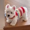 Dog fleece clothes autumn and winter rainbow candy striped than bear cat teddy small dog warm pet vest