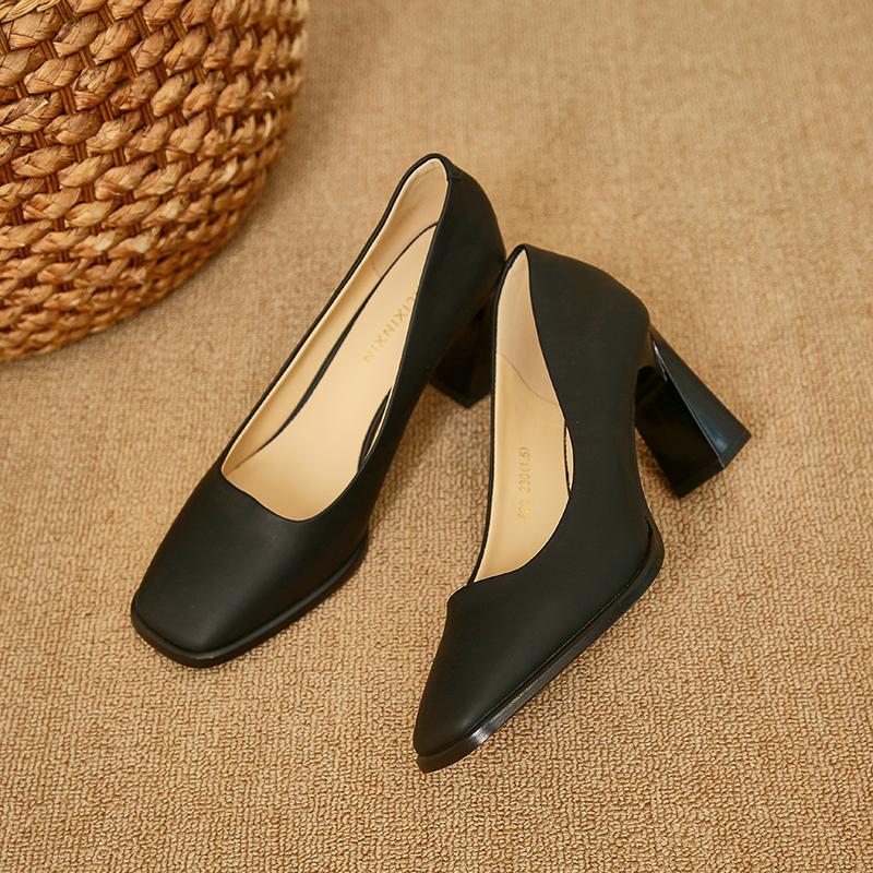 Fashion 2025 New Spring Women's Luxury Shoes Fashion Pointed Toe French Style Thick Heel Shoes Female Professional Elegant High Heels