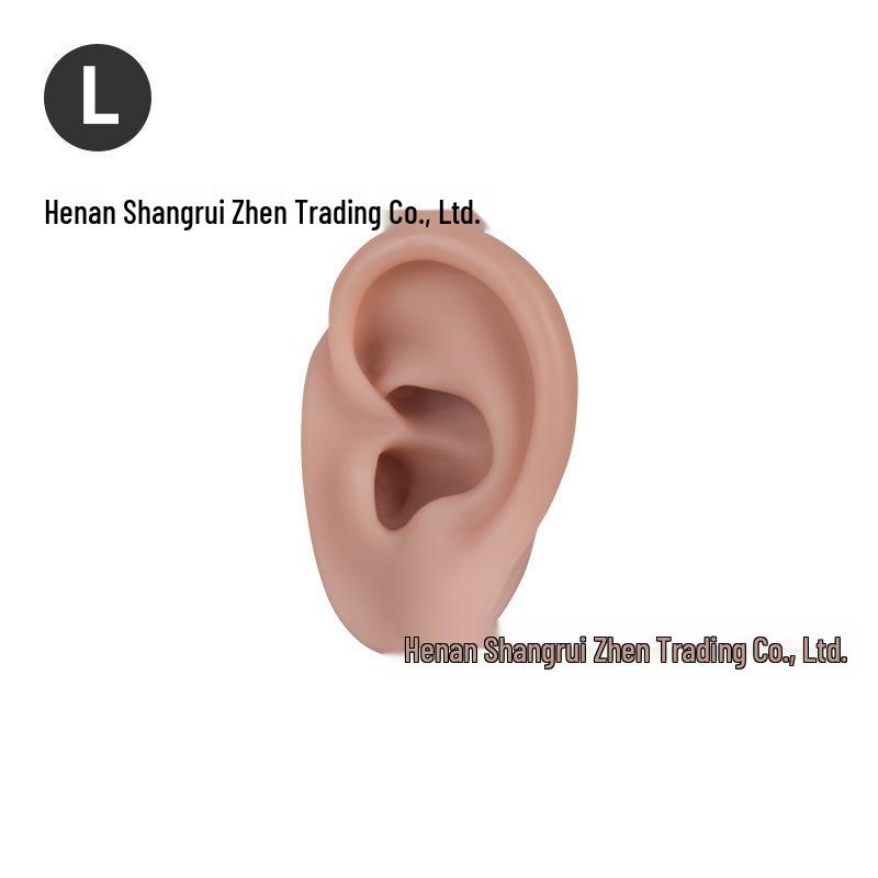 5D Ear Picking Silicone Model: Earphone Display, Acupoint, Jewelry & Hearing Aid Prop