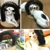 Cat Arch Self Groomer with Scratch Pad and Toy