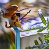Bonsai Micro-landscape Miniature Figurines Cat Statue Kitten Fishing Ornament Fish Tank Ornaments