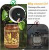 Hummingbird Solar Courtyard Lantern - Popular Garden Craft, In Stock, Balcony Wrought Iron Design