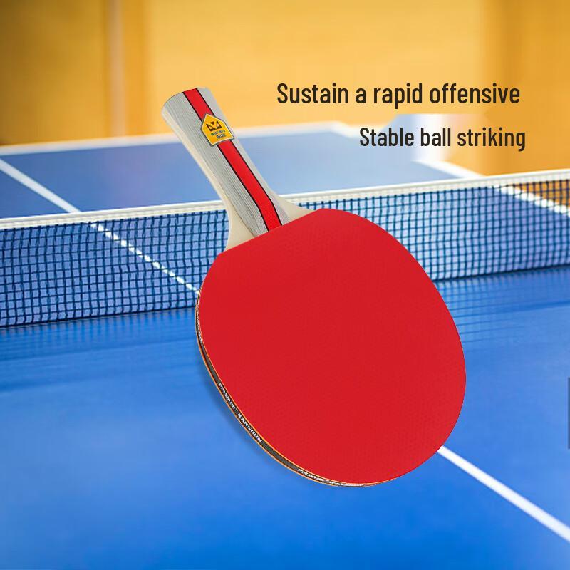 Kaisuo Beginners Tafeltennis Racket Set