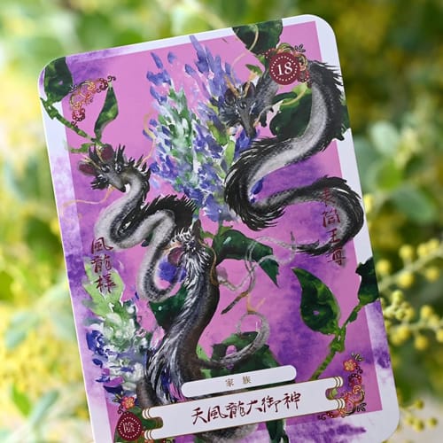 Ryukyu Zodiac Dragon Cards (New Edition) Japanese with Instructions, Oracle Cards, Fortune Telling, Dragon God, Okinawa, Direct from the Manufacturer,