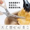 Green Bell Kitchen Scissors, Pull-Cut Type, Made in Japan, Disassembles and Washes, Stainless Steel, Ivory, SJ-K145 [.co.jp Exclusive]