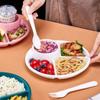 Plate Dish Bariatric Portion Meal Food Diet Planning Weight Plates Divided Nutrition Loss Lose Serving Snacks Compartment Tool