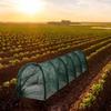 Collapsible Greenhouse Tunnel Green Mesh Bird Insect Barrier Garden Tunnel  Vegetable Growing