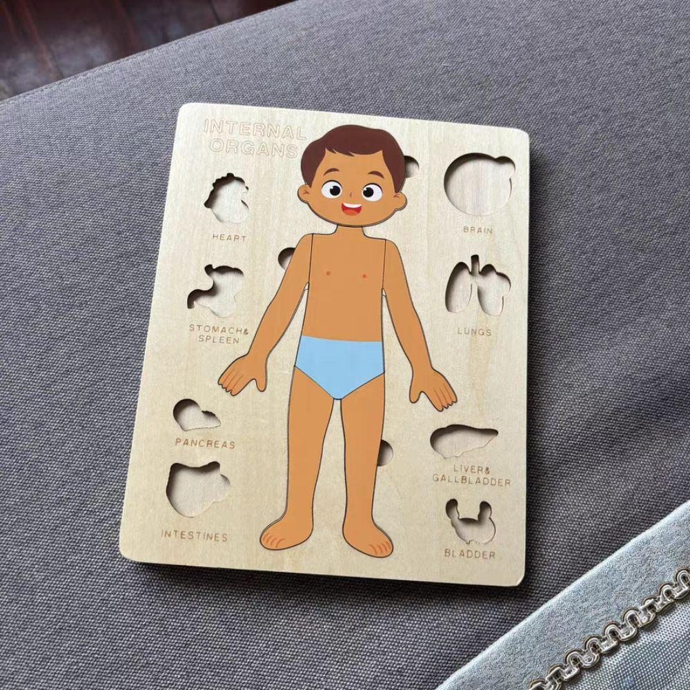 Multi-Layer Body Structure Puzzle Boys Girls Educational Anatomy Jigsaw  Preschool Game