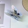 Super Fairy New Summer High Texture 10.3CM Large Butterfly Hair Clip Fashion Colorful Acetic Acid  Shark Clip Headwear