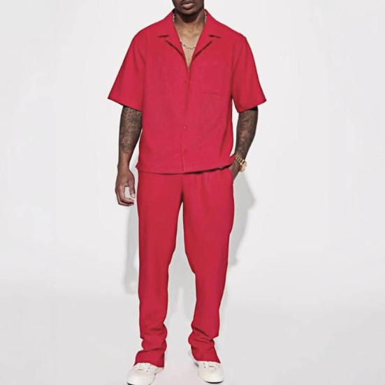2Pcs/Set Men Outfit Lapel Short Sleeve Single Breasted Shirt Elastic Waist Long Pants Set Solid Color Loose Fit Casual Outfit