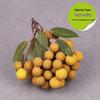 Foam Fruit Model Set: Educational Toy & Display with Plastic Apples, Bananas, Grapes for Kids