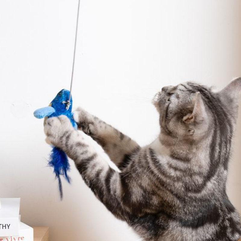 The Pet Cat Toy Emulates The Sound Bird To Amuse The Cat Elastic Rope To Relieve Boredom and Resist Scratching and Biting