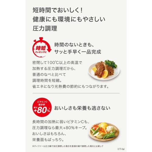 Tefal Pressure Cooker 6.2L IH Compatible, For 4 to 6 People, One Handed Pot, Secure, Trendy, 10 Year Warranty, P2580704, Silver