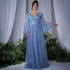 Women's 2026 V-Neck Cinched Waist Long Sleeve Mesh Dress
