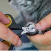 1pc-Professional Cat Nail Clippers for Small Cat Dog Stainless Steel Puppy Claws Cutter Pet Nail Grooming Clippers Trimmer