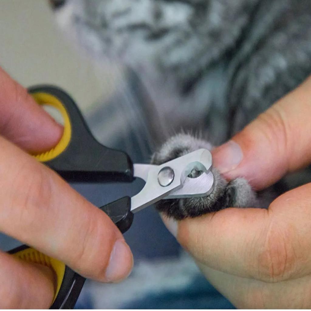 1pc-Professional Cat Nail Clippers for Small Cat Dog Stainless Steel Puppy Claws Cutter Pet Nail Grooming Clippers Trimmer