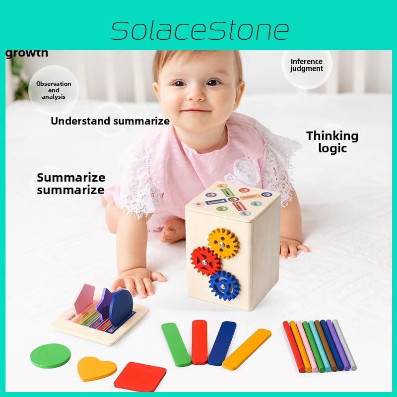 Wooden Early Education Cognitive Toy With Matching Sensory Blocks For Toddlers
