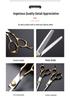 6-Inch Professional Hairdressing Scissors & Thinning Shears Set