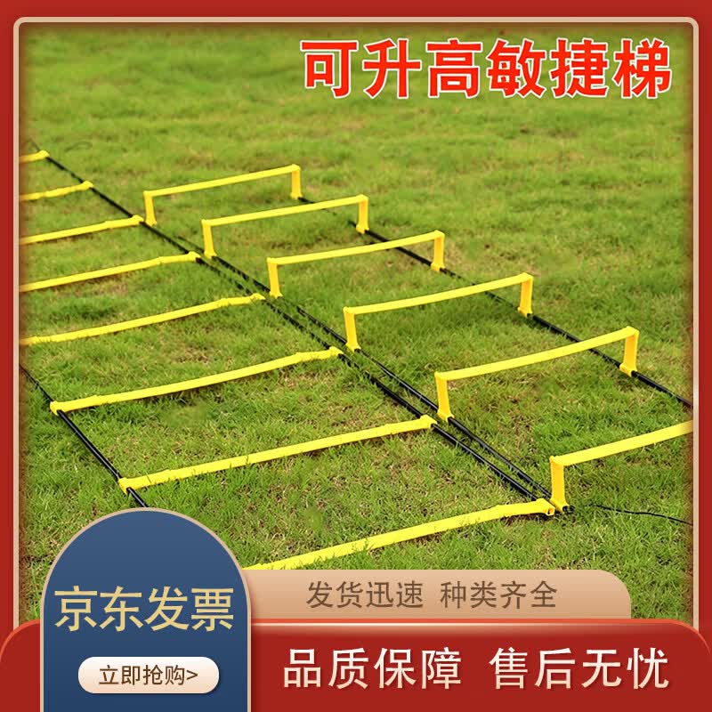 Dual-Use Agility Training Ladder