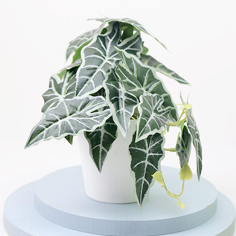 For Shops Bonsai For Weddings Parties Plastic Beautiful