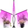 LED USB Grow Light Plants 5V Full Spectrum Light Home Flower Seedling Clip Phyto Lamp Dimmable Timing Control 3/9/12Hours