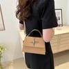 Chic Street Style Small Crossbody Bag For Women Trendy 2024 Pu Leather Handbag