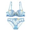 European and American Sexy Lingerie Transparent Mesh Embroidered Bra Set
