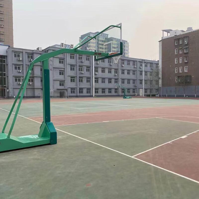 GZ Fish Portable Basketball Hoop