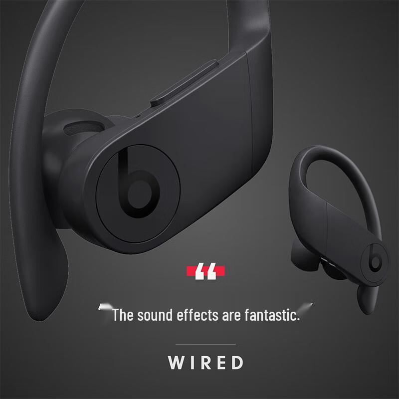 Beats Powerbeats Pro Wireless Earbuds