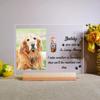 Custom Photo Pet Memorial Frame Fur Keepsake Vial Dog Cat Loss Tribute Personalized Engraved Remembrance Gift for Pet Owners