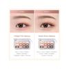 eSpoir Eye Core Palette- 12g| Highly Pigmented Palette Featuring 12 Versatile Colors For Endless Eye Makeup Creations