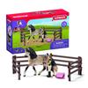 Coffret kit de soin pour chevaux andaloux, schleich 42270 Horse Club, coffret figurines pour enfants, des 5 ans